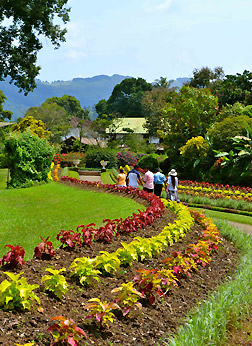 Peradeniya Botanical Garden